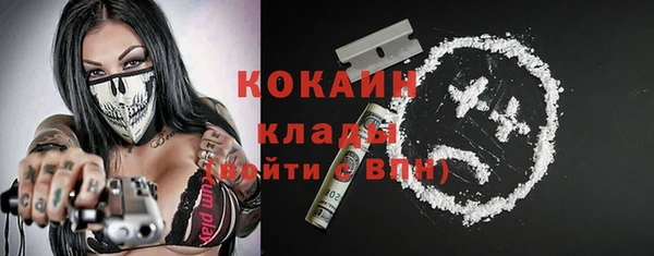 дживик Арсеньев