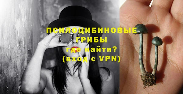 бошки Аркадак