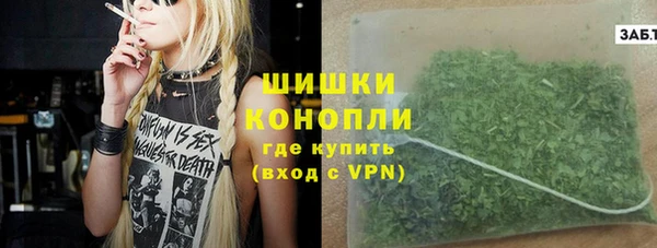 дживик Арсеньев